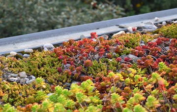 the cost of Betchton Heath green roof installation