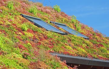 Betchton Heath living roof systems