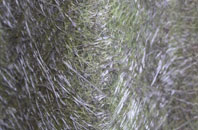 Betchton Heath fibreglass roof work